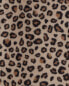 Фото #24 товара Kid 1-Piece Cheetah Print Fleece Footless Pajamas 4