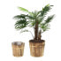 Фото #1 товара Holz Blumentopf im 2er Set