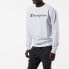 Champion Trendy Clothing Hoodie