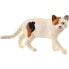 Фото #1 товара SCHLEICH Farm World 13894 American Shorthair Cat