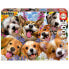 Фото #2 товара EDUCA 1000 Pieces Selfie Dogs Puzzle