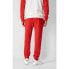 Фото #4 товара Champion Stanford University Ribbed Cuffs Pants M 218570.RS010