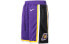 Брюки Nike Lakers Courtside Statement Edition AV3545-504