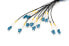 Фото #3 товара DIGITUS Pre-assembled Fiberglass Universal Breakout Cable, Single Mode OS2, 12 Fibers, LC/UPC - LC/UPC