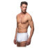 ABANDERADO ASA4024.001 Brief