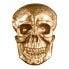 Фото #2 товара Wandskulptur SKULL XXL