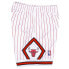 Mens Mitchell & Ness NBA RELOAD SWINGMAN SHORTS - CHICAGO BULLS 1995