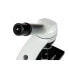 Фото #10 товара Микроскоп оптический Opticon Bionic Max 20x-1024x - белый