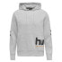 HUMMEL Legacy Manfred hoodie