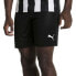 Фото #1 товара PUMA Liga Core Shorts