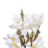 букет Белый Зеленый 37 x 20 x 41 cm Magnolia