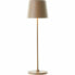 Фото #2 товара Декоративная настольная лампа Brilliant Kaami Золотая