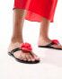 Фото #1 товара South Beach flower flip flops in black with red rose