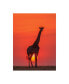Фото #1 товара Henry Zhao Sunset Giraffe Canvas Art - 20" x 25"