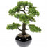 Фото #1 товара Искусственные цветы Emerald Bonsai Ficus "Бонсай фикус" 47 см