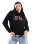 Фото #1 товара Levi's hoodie with small sport logo in black