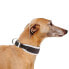 ფოტო #4 პროდუქტის FERPLAST Ergocomfort 20 mm 39 cm Collar