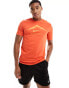 Фото #1 товара Nike Running Trail Dri-Fit graphic t-shirt in burnt orange