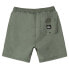 Фото #4 товара QUIKSILVER Taxer Shorts