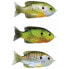 LIVE TARGET Sunfish Walking Soft Lure 18g 90 mm