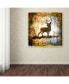 lightbox Journal 'High Country Deer' Canvas Art - 35" x 35" x 2"