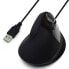 Фото #1 товара Оптическая мышь Ewent EW3157 USB 2.0 Чёрный