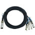 Фото #1 товара BlueOptics 100G-QSFP-4SFP-P-0501-BL - 5 m - QSFP28 - 4xSFP28 - Male/Male - Black - 100 Gbit/s