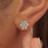 Фото #3 товара Delicate steel earrings with clear crystals Aurora SAR48