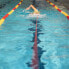 Фото #3 товара BUDDYSWIM Speed Training Long Swim Belt