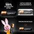 Фото #2 товара DURACELL Plus Extra Life LR6-MN1500AA8 Pack AA Alkaline Batteries