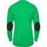 Фото #2 товара Adidas Assita 17 M AZ5400 goalkeeper jersey