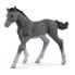 Schleich Horse Club Trakehner Foal Toy Figure 3 to 8 Years Grey 13944
