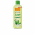 Unisex Perfume Natural Honey Té Verde EDC 750 ml