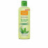 Фото #1 товара Парфюмерия унисекс Natural Honey Té Verde EDC 750 ml