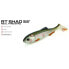 Фото #5 товара MOLIX Real Thing Shad Soft Lure 90 mm