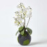 Фото #6 товара Искусственные цветы Homescapes Phalaenopsis Orchidee weiß 60 см