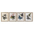 Фото #1 товара Картина DKD Home Decor Бабочки 40 x 2 x 50 cm Shabby Chic (4 Предметы)