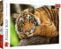 Фото #1 товара Trefl Puzzle 500 el. Portret tygrysa