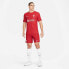 Фото #8 товара NIKE Liverpool FC Dri Fit Advantage Match Home 22/23 Short Sleeve T-Shirt
