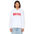 DIESEL Ginn L5 hoodie