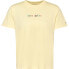 Фото #1 товара TOMMY JEANS Reg Color Serif Linear short sleeve T-shirt