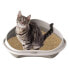 Фото #3 товара Ящик для кошачьего туалета Georplast GP10536 58 x 48 x 20,5 cm (8 штук)