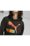 Фото #5 товара Classics Multi Color Logo Hoodie Kadın Günlük Sweatshirts 62284401 Siyah