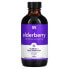 Elderberry Sambucus Syrup, 12,000 mg, 4 fl oz (120 ml)