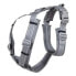 Фото #2 товара KENTUCKY Active Reflective Harness