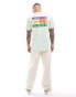 Tommy Jeans regular summer flag t-shirt in green