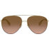 Ladies' Sunglasses Burberry FERRY BE 3113