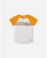 Boy Organic Cotton Raglan T-Shirt Light Gray Mix And Orange - Toddler|Child