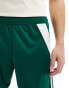 Фото #2 товара adidas Football Tiro 24 shorts in green