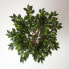 Фото #6 товара Kunstbaum Ficus Benjamini grün 120 cm